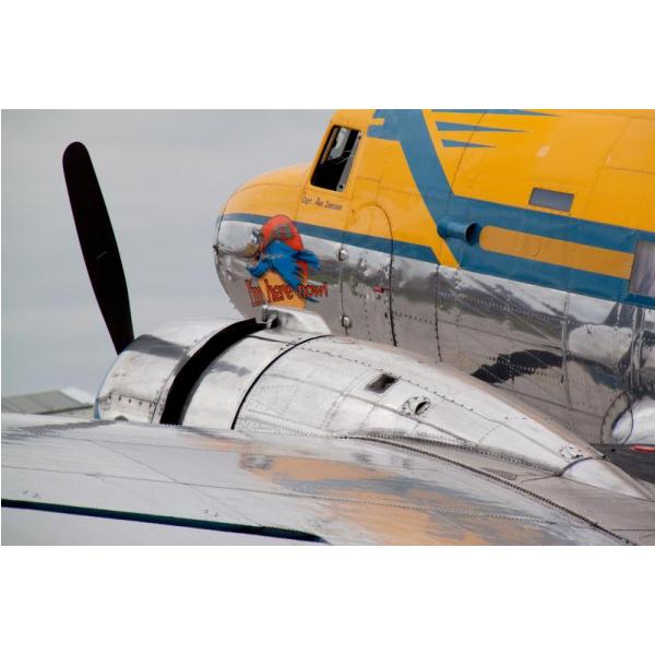 Impresso em Tela para Quadros Avio Amarelo com Turbina Cromada - Afic858 - 69x46 Cm