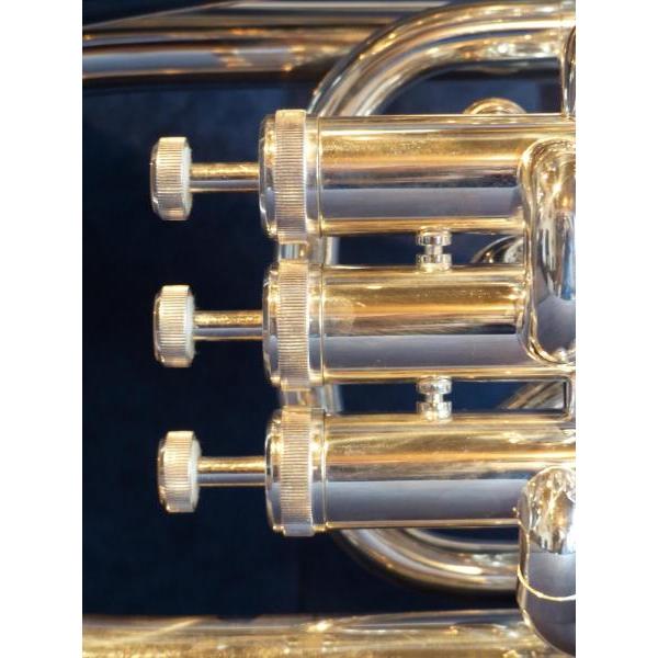 Impresso em Tela para Quadros Instrumento Musical Belo Instrumento de Sopro - Afic2679