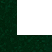 Paspatur de Papel Aveludado para Quadros e Painis de Fotos 80x100cm - Verde Bandeira