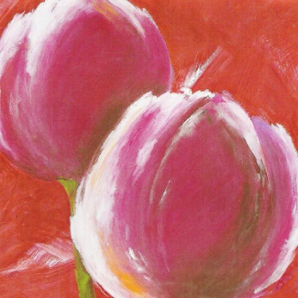 Gravura para Quadros Floral Tulipa Rosa Pink - Ncn3931 - 50x50 Cm