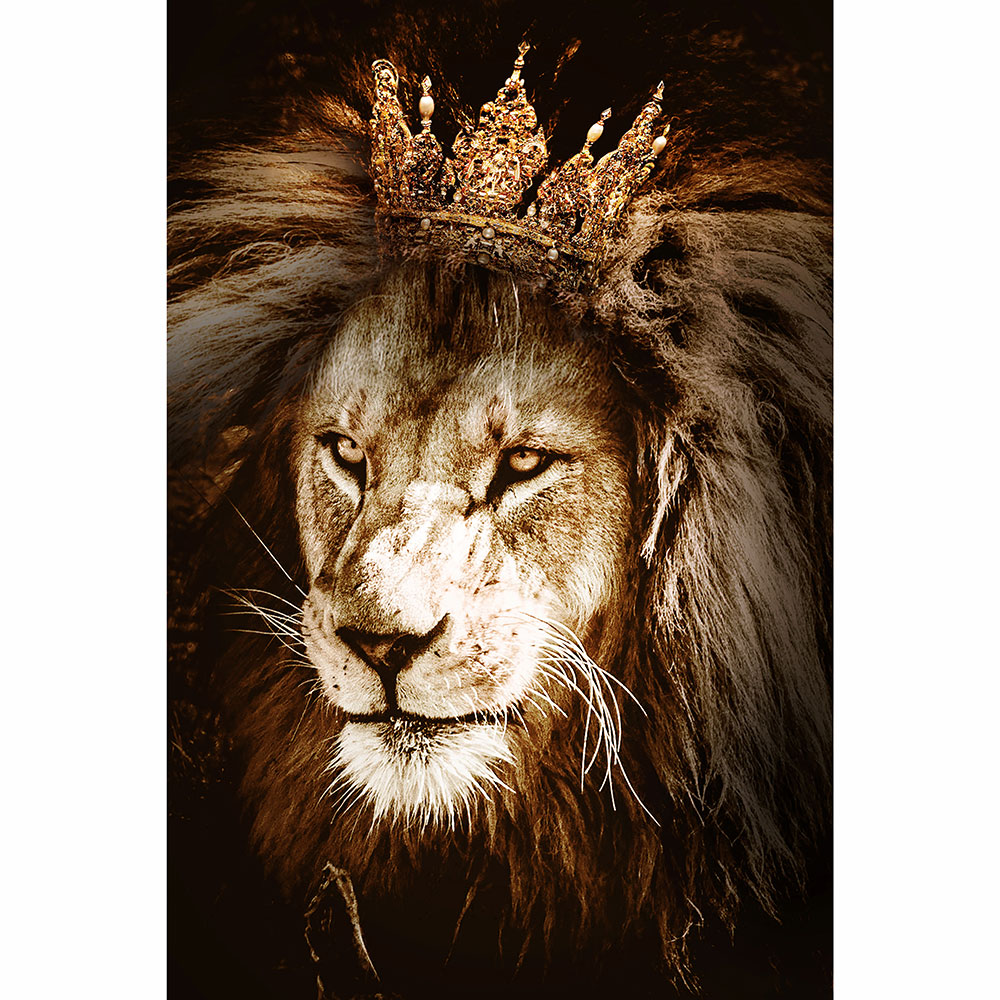 Tela para Quadros Fotografia Leão com Coroa Dourada - Afic15956