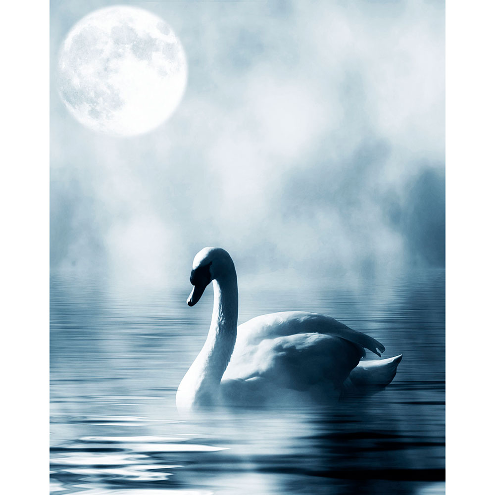 Gravura para Quadros Cisne Branco Ao Lago Lua Cheia - Afi13684 - 70x100 Cm