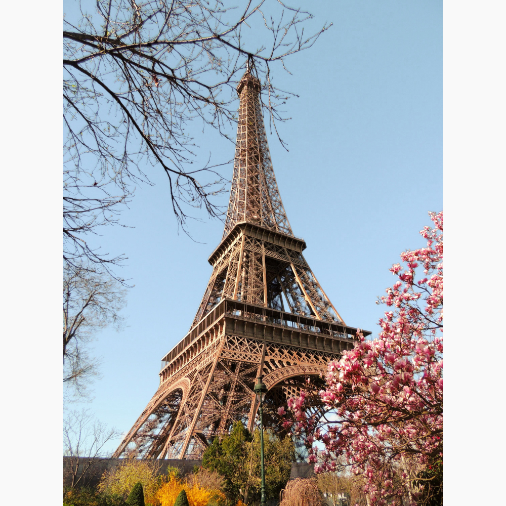 Tela para Quadros Torre Eiffel Primavera Florida - Afic11501 - 80x100 Cm