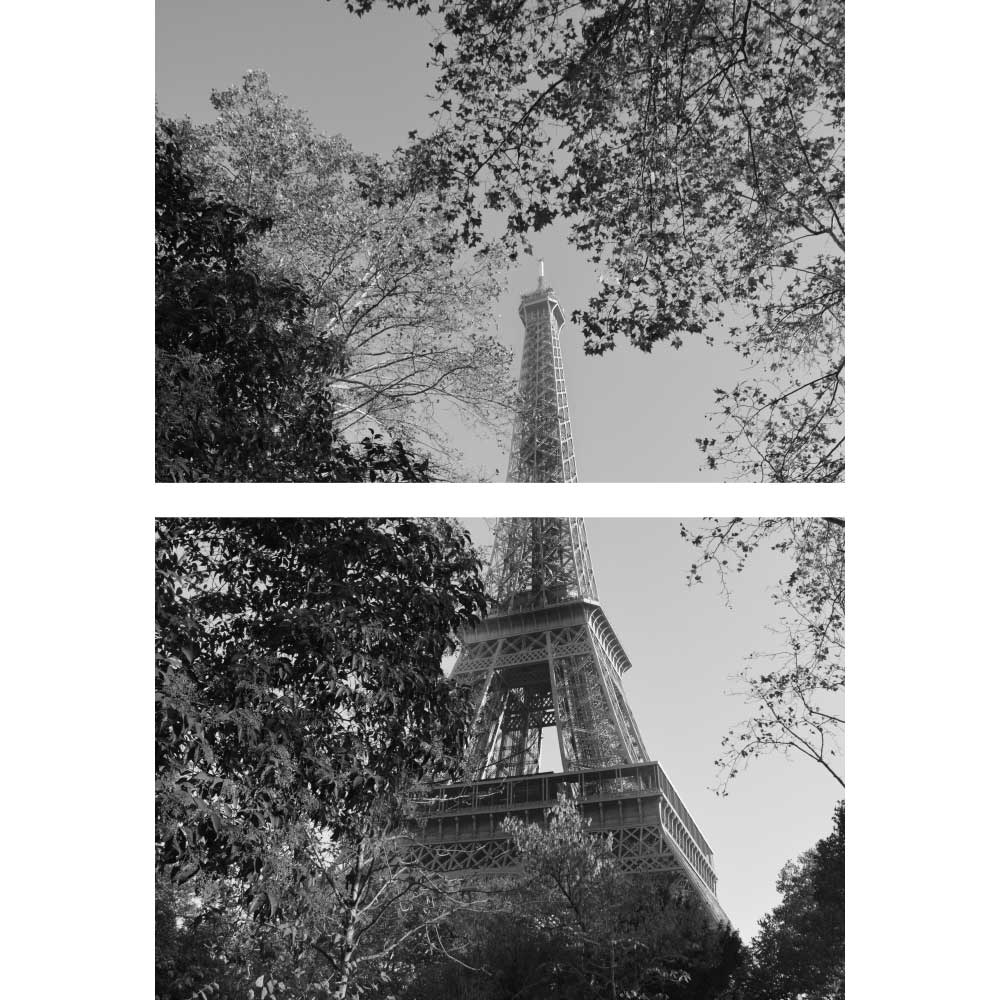 Gravura para Quadros Recortado Torre Eiffel em Meio a Natureza - Afi10856a - 100x145 Cm