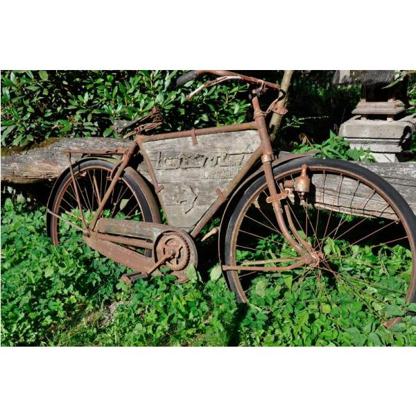 Gravura para Quadros Bicicleta Abandonada - Afi1309