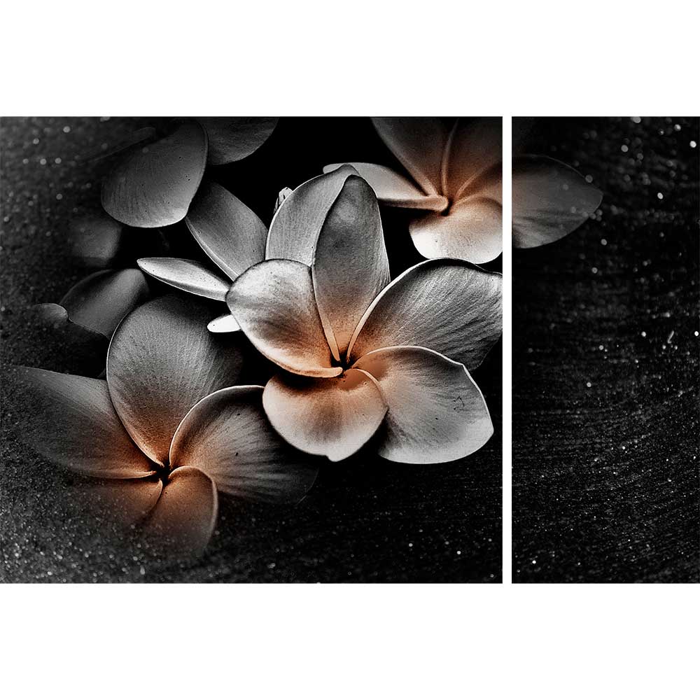 Tela para Quadros Recortada Floral Noturna Fundo Preto Abstrato - Afic15841a - 195x130 Cm