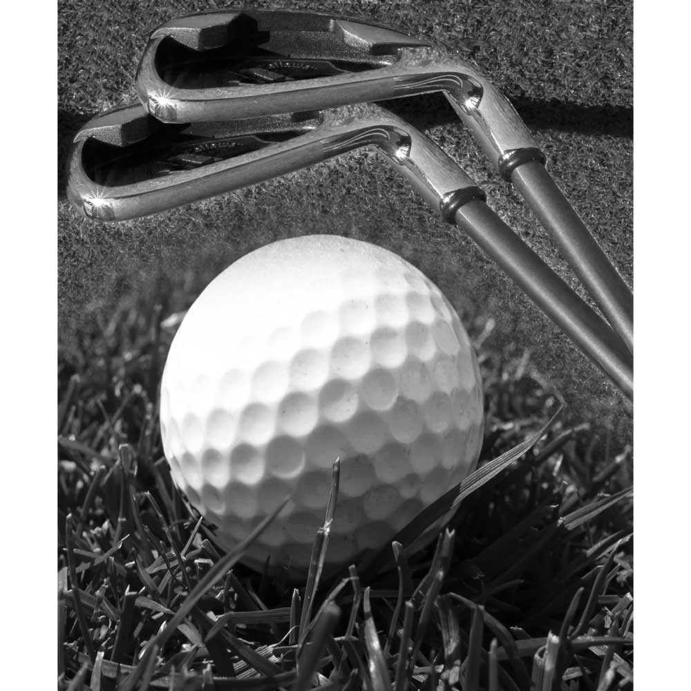 Tela para Quadros Decorativos Bola e Taco de Golf - Afic10133