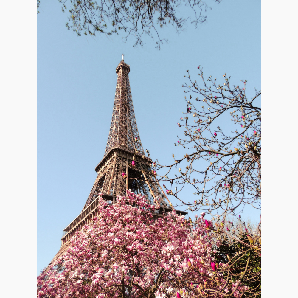 Tela para Quadros Torre Eiffel Primavera Florida Cu Azul - Afic11502 - 80x100 Cm