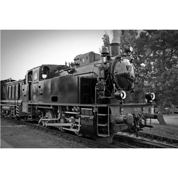 Gravura para Quadros Bela Locomotiva Sobre Trilhos Preto e Branco - Afi2727 - 207x137 Cm