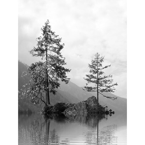 Gravura para Quadros Natureza Lagoa Árvores Solitárias - Afi17744