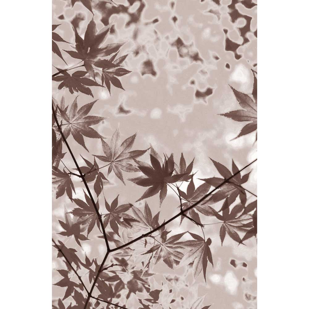 Tela para Quadros Decorativos Folhas em Spia - Afic10121