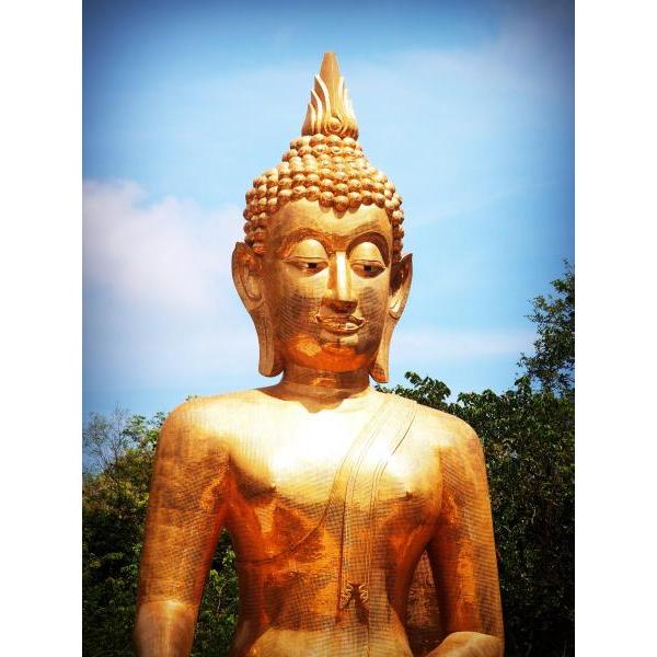 Impressão em Tela para Quadros Belo Buda Dourado - Afic290