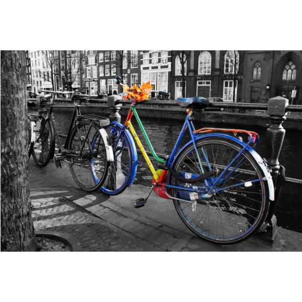 Impressão em Tela para Quadros Bicicleta Colorida - Afic1292