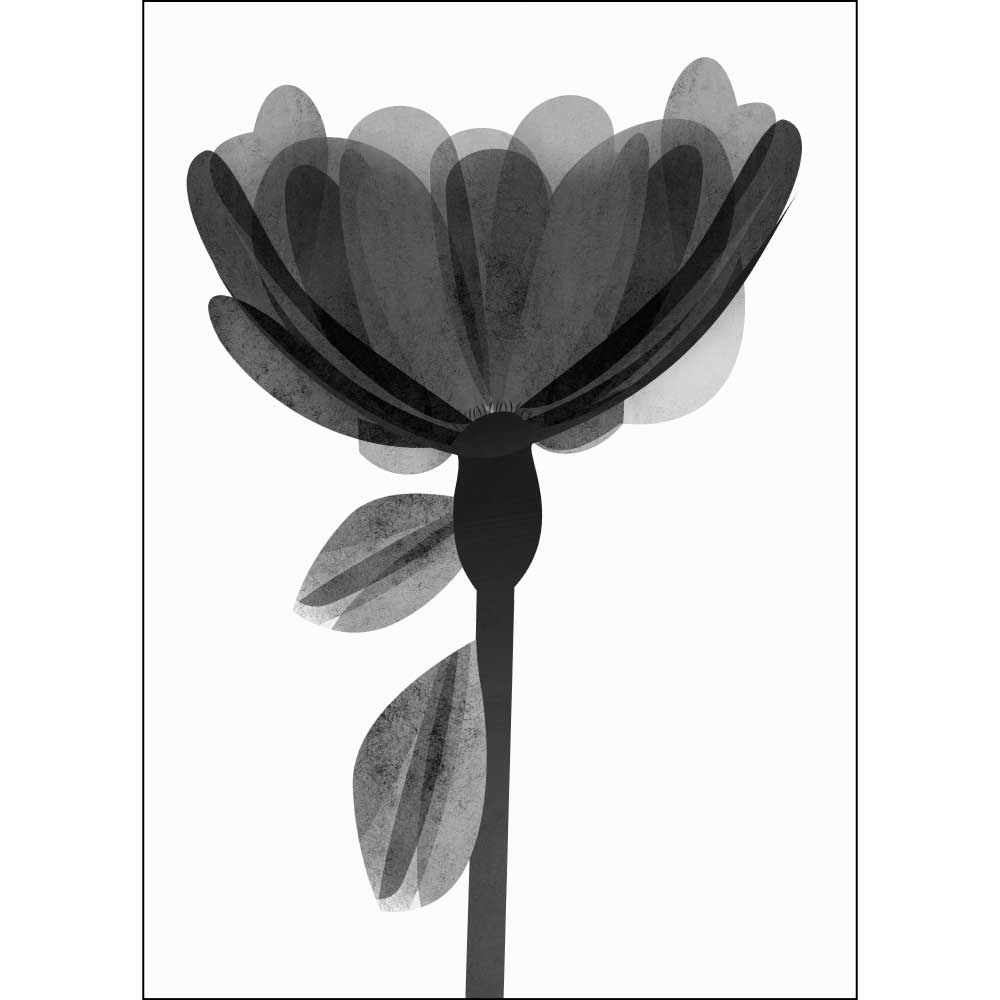 Tela para Quadros Decorativos Florais Flor em Preto e Branco com Transparncia - Afic9081