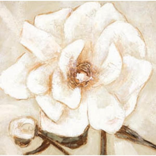 Impresso Sobre Tela para Quadros Rosa Branca Ilustre - Pi8276 - 60x60 Cm