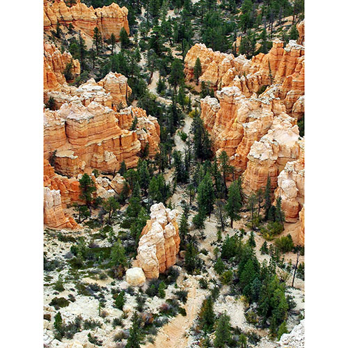 Tela para Quadros Parque Nacional de Bryce Canyon em Utah Nos Estados Unidos - Afic17735