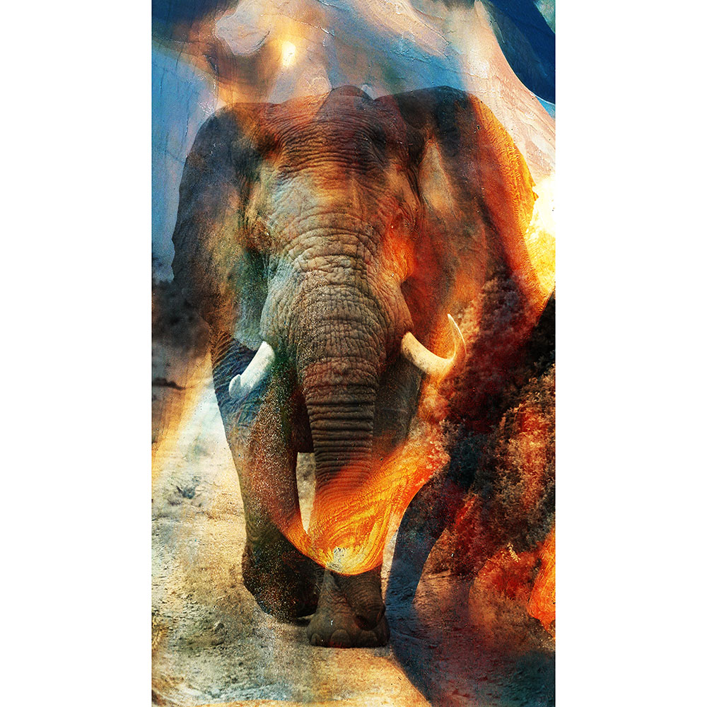 Tela para Quadros Elefante Fundo Abstrato - Afic12941