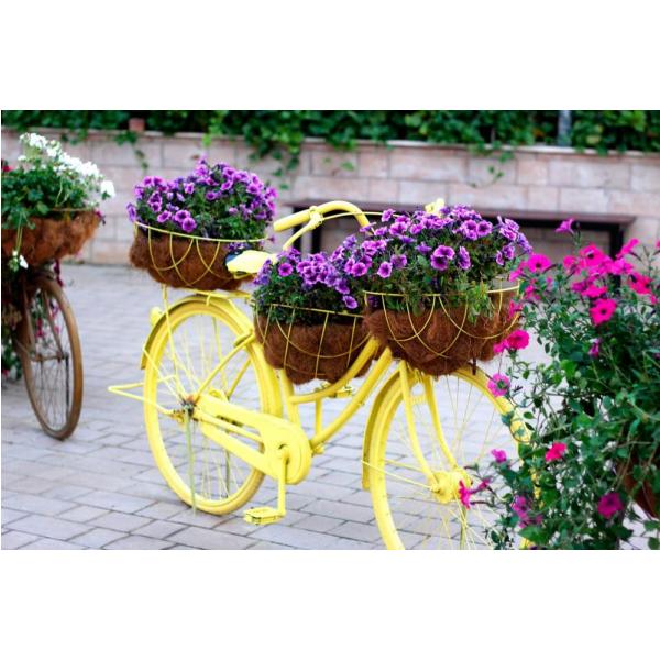 Impressão em Tela para Quadros Bicicleta com Flores Amor Perfeito - Afic1317