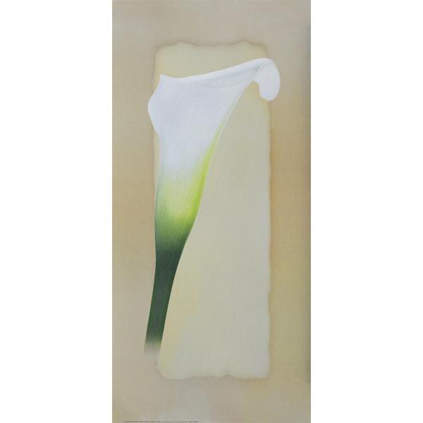 Gravura para Quadros Painel e Flor Branca - Dn250 - 30x70 Cm