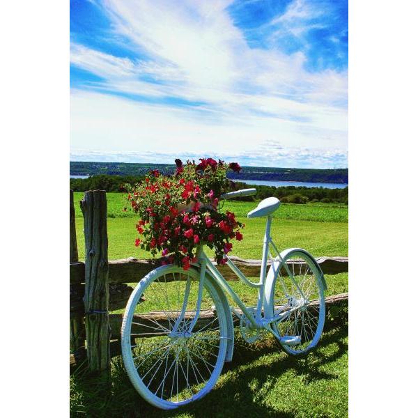 Impressão em Tela para Quadros Bicicleta Decorativa Flores - Afic1306