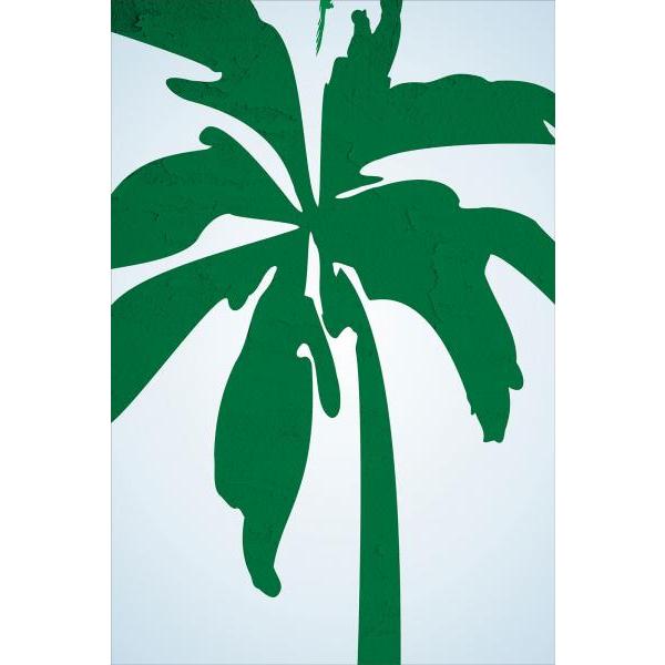 Impresso em Tela para Quadros Decorativos Folhas Palmeira Verde - Afic4384