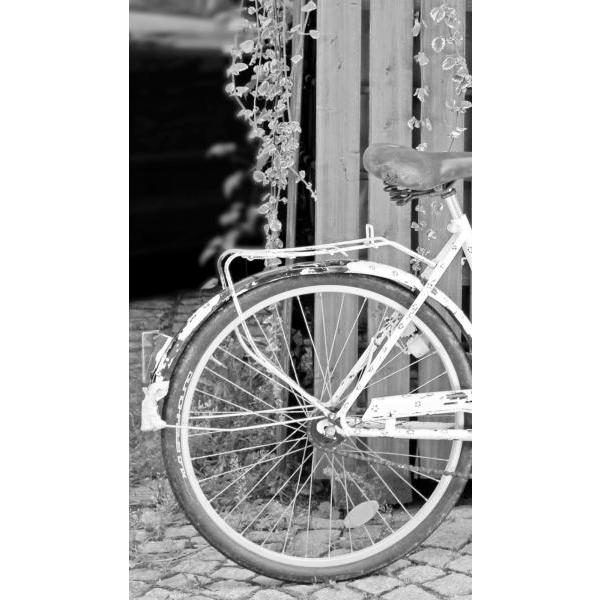 Impresso em Tela para Quadros Bicicleta com Garupa Branca - Afic6800 - 50x90 Cm