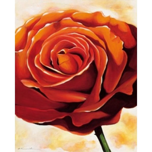 Gravura para Quadros Rosa Vermelha Grande - Gr7307 - 40x50 Cm