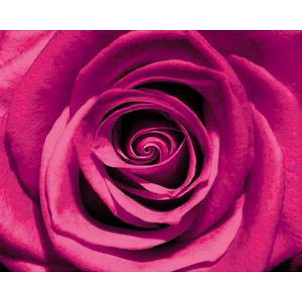Gravura para Quadros Painel Rosa Escura - G7023 - 50x40 Cm