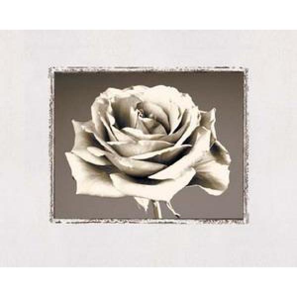 Gravura para Quadros Flores Rosa Preto e Branco - G6904 - 50x40 Cm