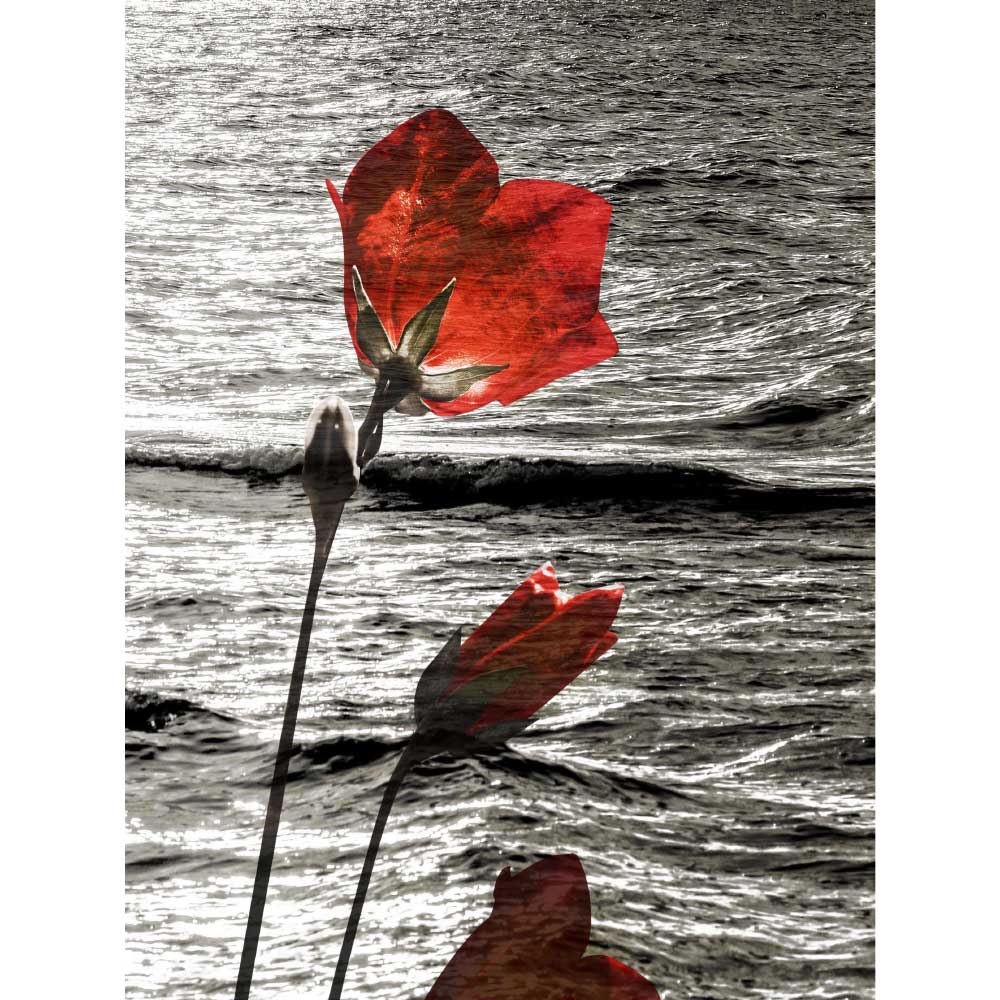 Tela para Quadros Decorativos Floral de Frente Ao Mar - Afic10120