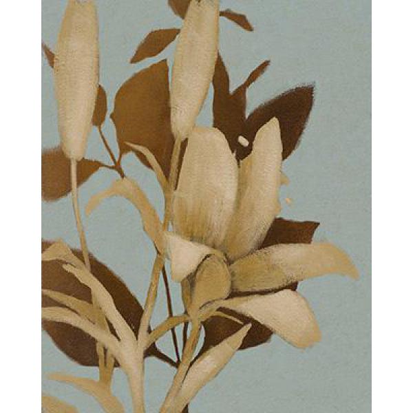 Gravura para Quadros Flor de Lrio em Sepia - 7593a-16 - 40x50 Cm
