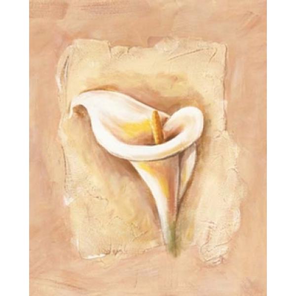 Gravura para Quadros Flor Copo-de-leite Decorativo - Gr7261 - 40x50 Cm