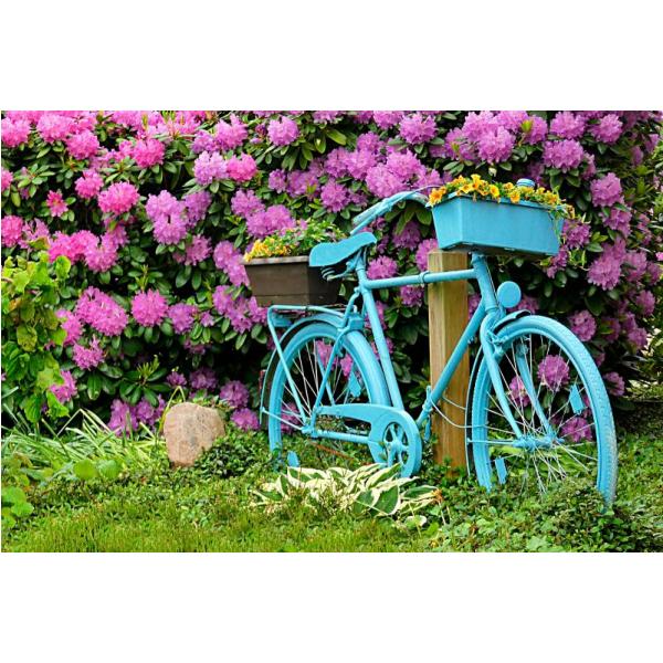 Impressão em Tela para Quadros Bicicleta Decorando Jardim - Afic1319