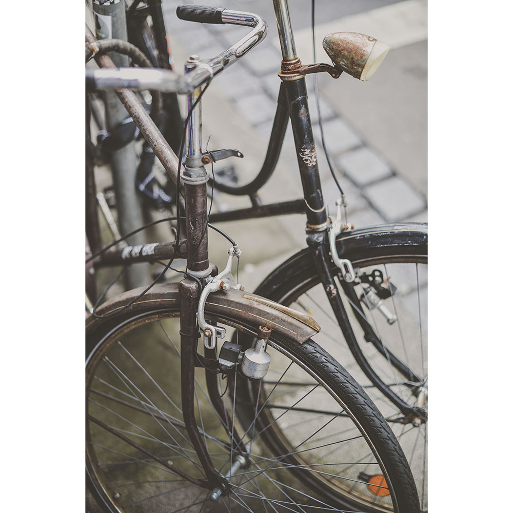 Tela para Quadros Bicicleta Antiga Enferrujada - Afic13532 - 148x220 Cm