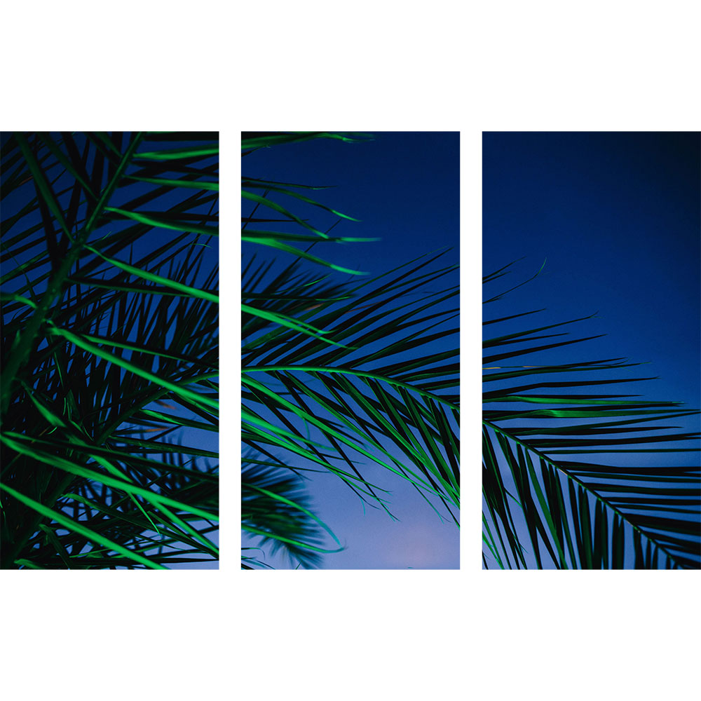 Gravura para Quadros Recortada Folhas de Palmeira Cu Azul - Afi15934a - 160x100 Cm
