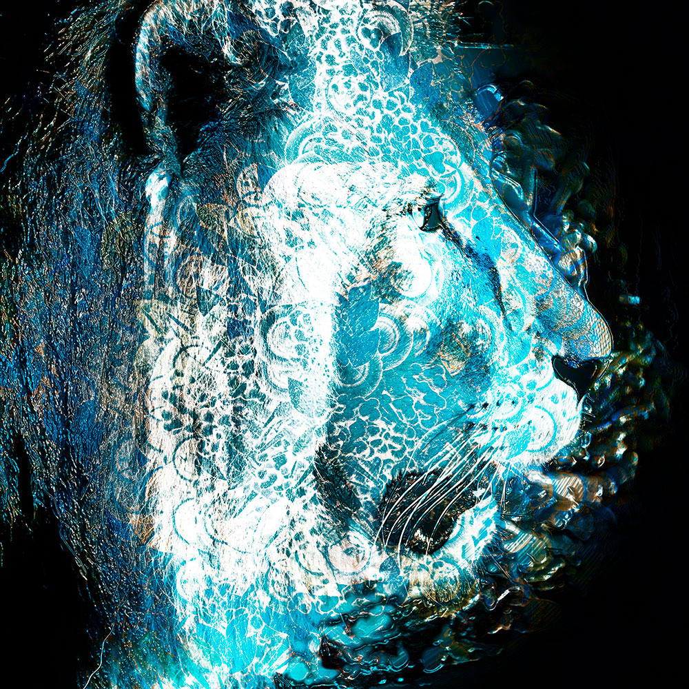 Gravura para Quadros Face Leão Abstrato Artístico Cores - Afi16001