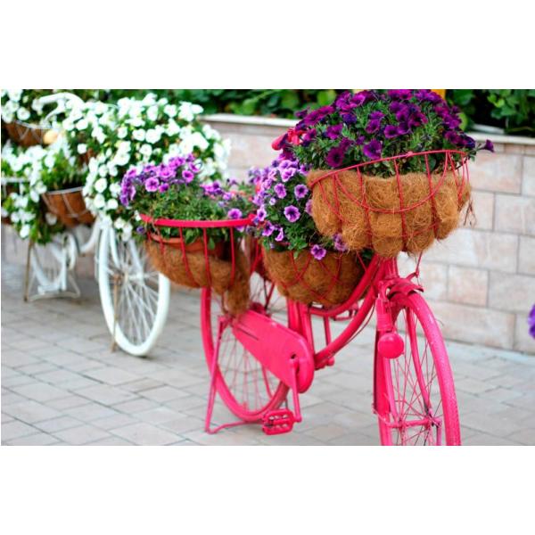 Impressão em Tela para Quadros Bicicleta Rosa Decorada com Flores - Afic1325
