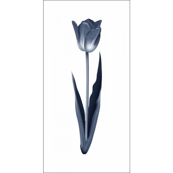 Gravura para Quadros Decorativo Floral Tulipa - Afi6074