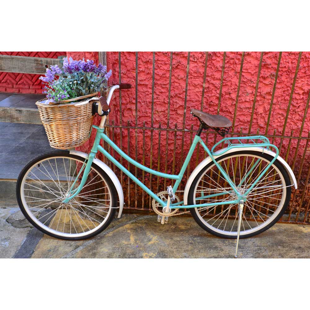 Tela para Quadros Bike Antiga com Cesto de Flores Por Dorival Moreira - Aficdm170