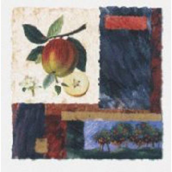 Gravura para Quadros Decorativos Fruta Maça - Ncn3304-4 - 50x50 Cm