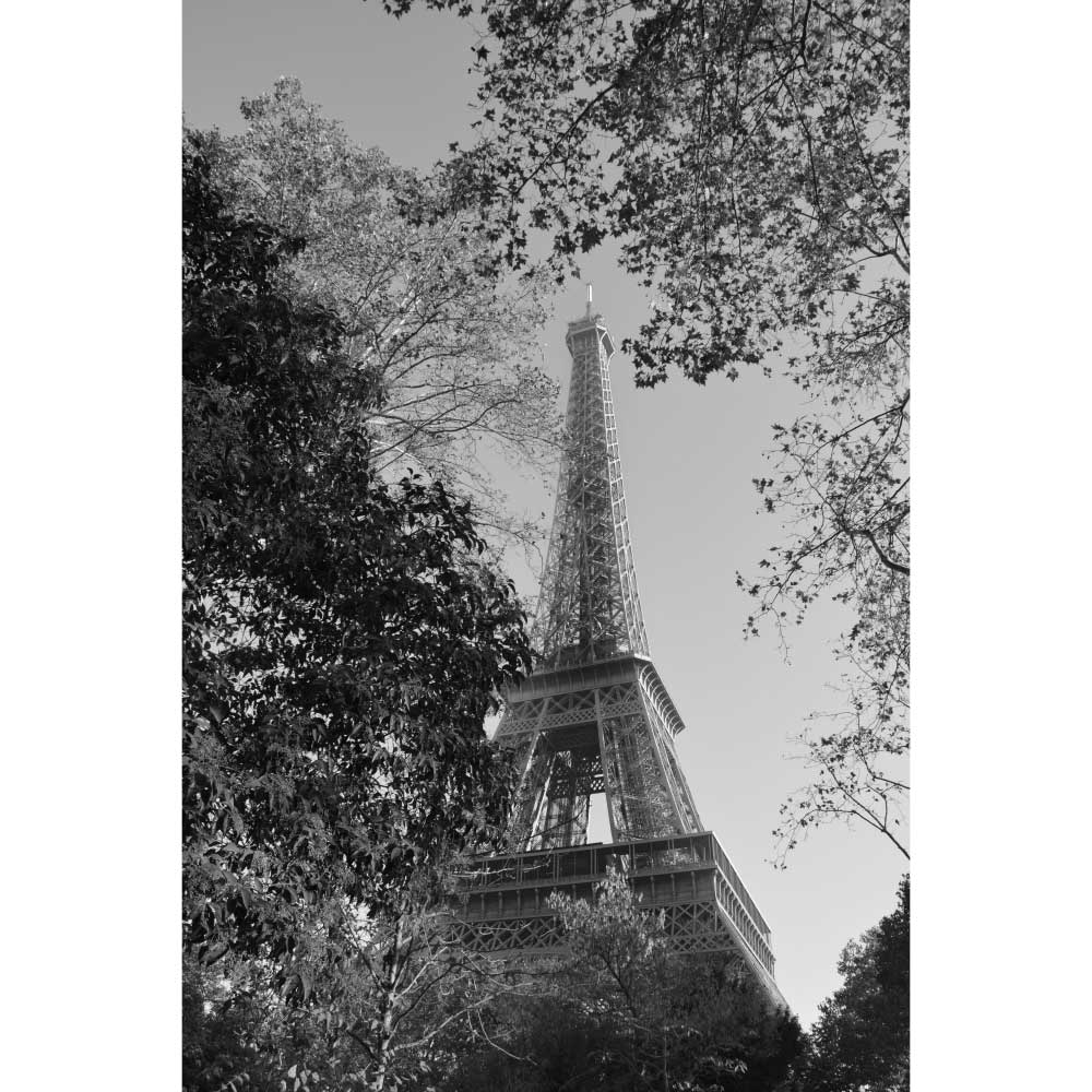 Tela para Quadros Decorativos Torre Eiffel em Meio a Natureza - Afic10856