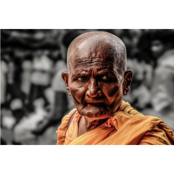 Impressão em Tela para Quadros Pôster Retrato Monge Budista - Afic2065