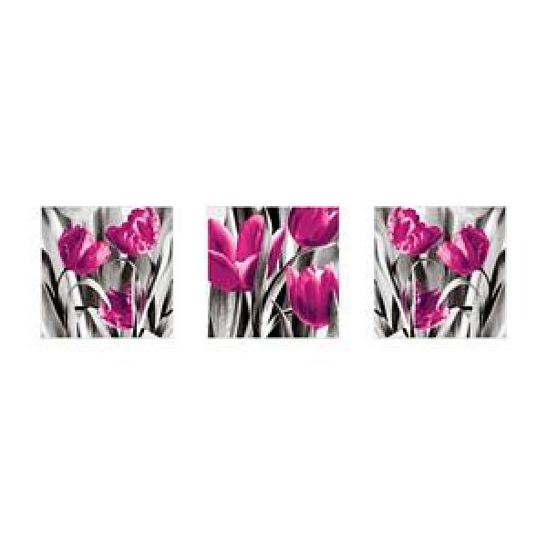 Gravura para Quadros Flores de Tulipa Rosa Escuro - Pa3938 - 100x35cm