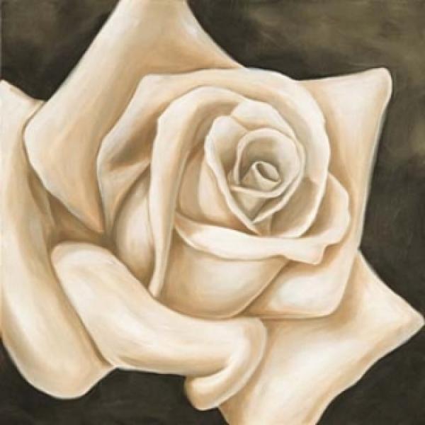 Gravura para Quadros Decorativo Rosa Ilustre - Zy6951 - 69x69 Cm