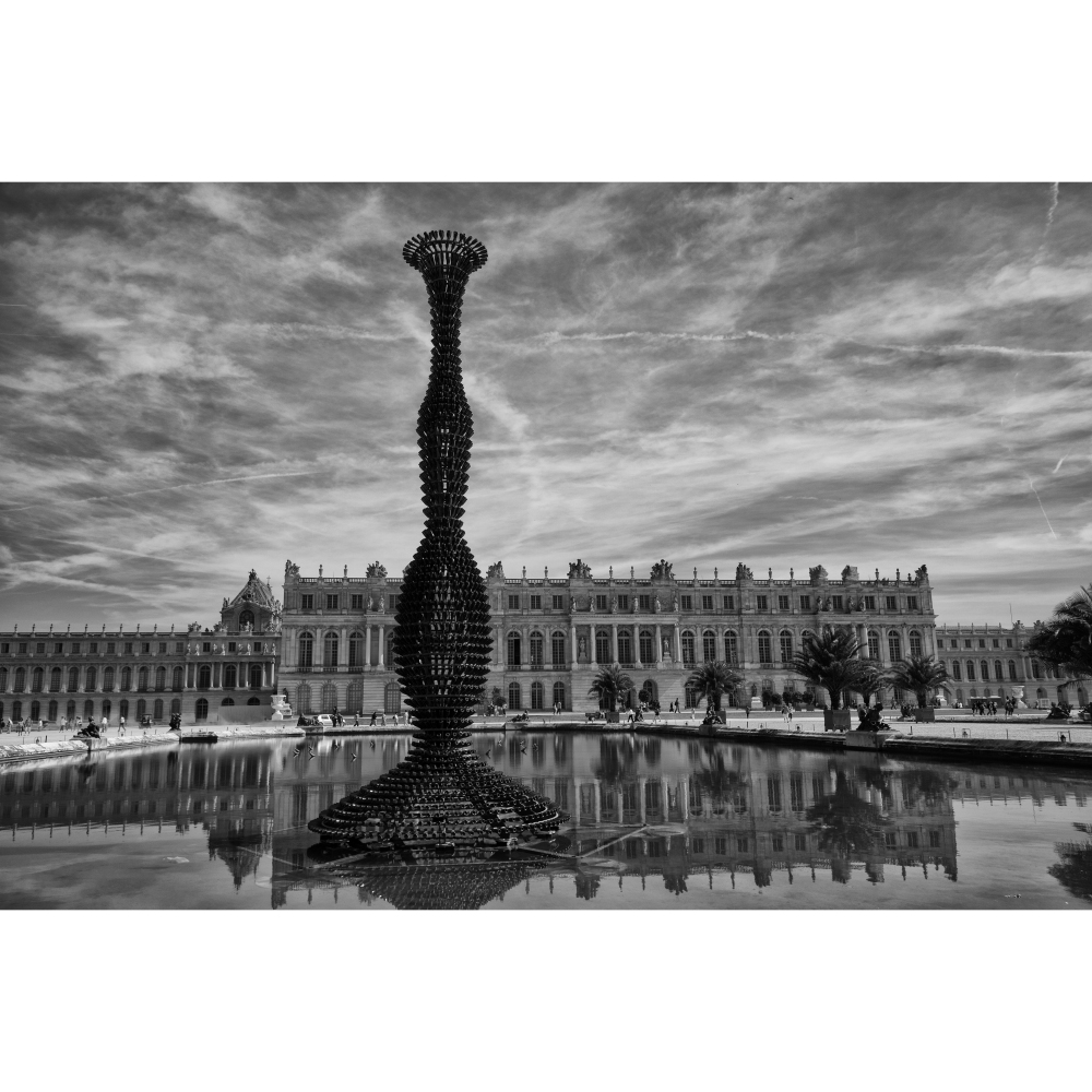 Tela para Quadros Palcio de Versailles Por Dorival Moreira I - Aficdm096