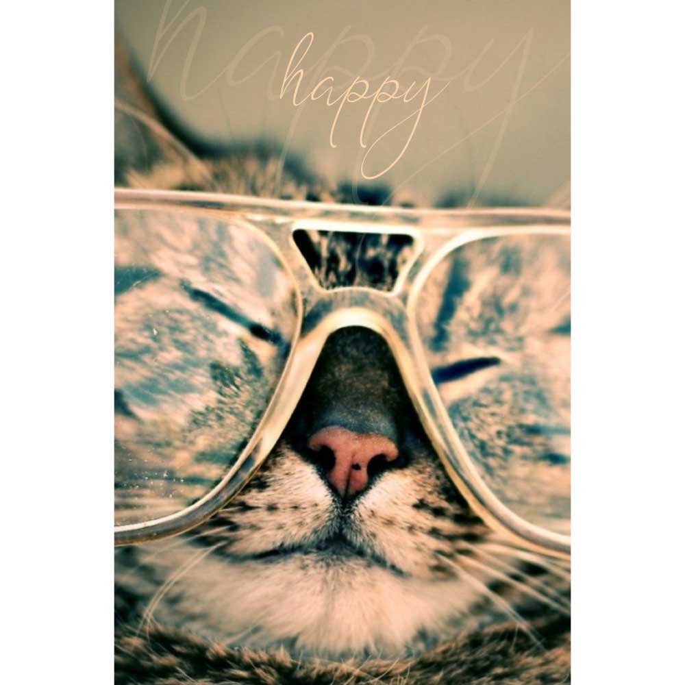 Tela para Quadros Belíssimo Gato de Óculos - Afic5973