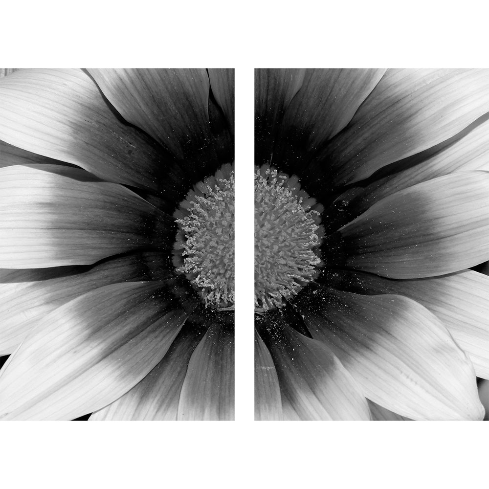 Tela para Quadros Recortada Floral Preto e Branco - Afic12947a - 125x90 Cm