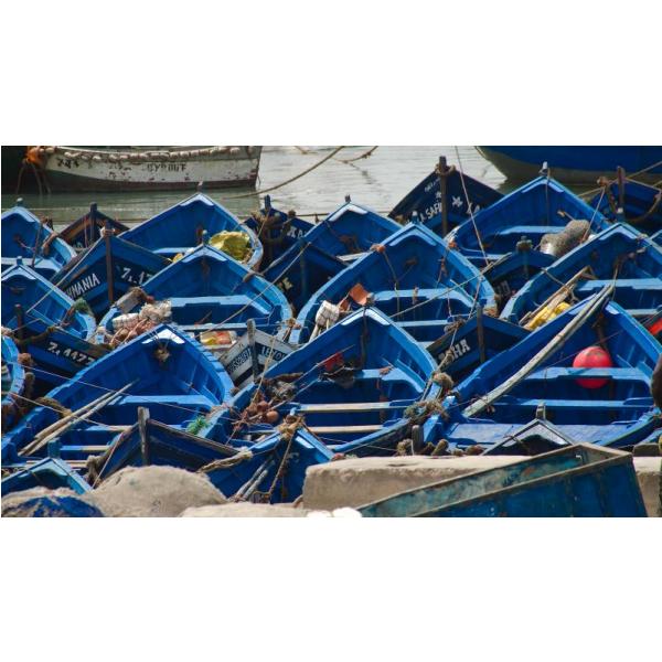 Gravura para Quadros Barcos de Pesca Azul - Afi4910