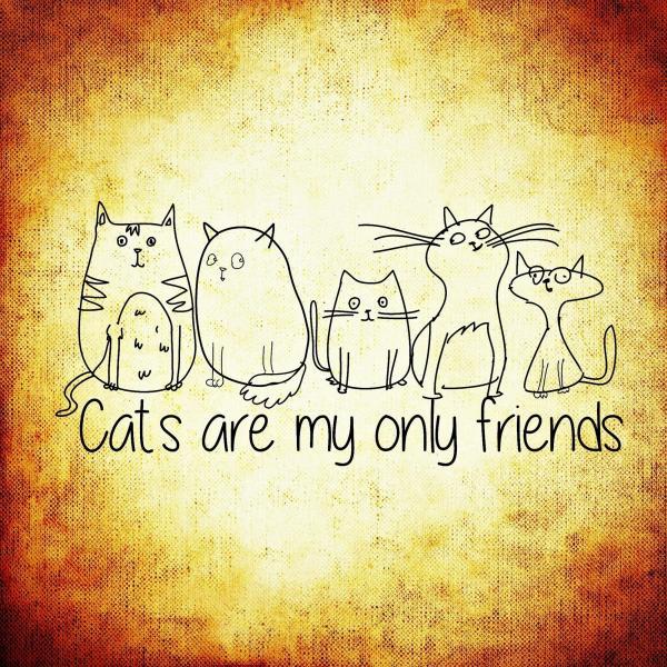 Gravura Impressa para Quadros Frase Cats Are My Only Friends - Afi535 - 70x70 cm