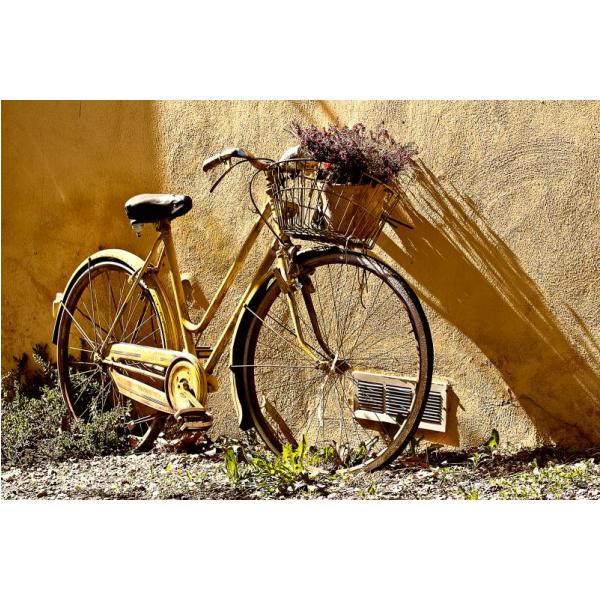 Impresso em Tela para Quadros Bicicleta Amarela Escorada - Afic1302